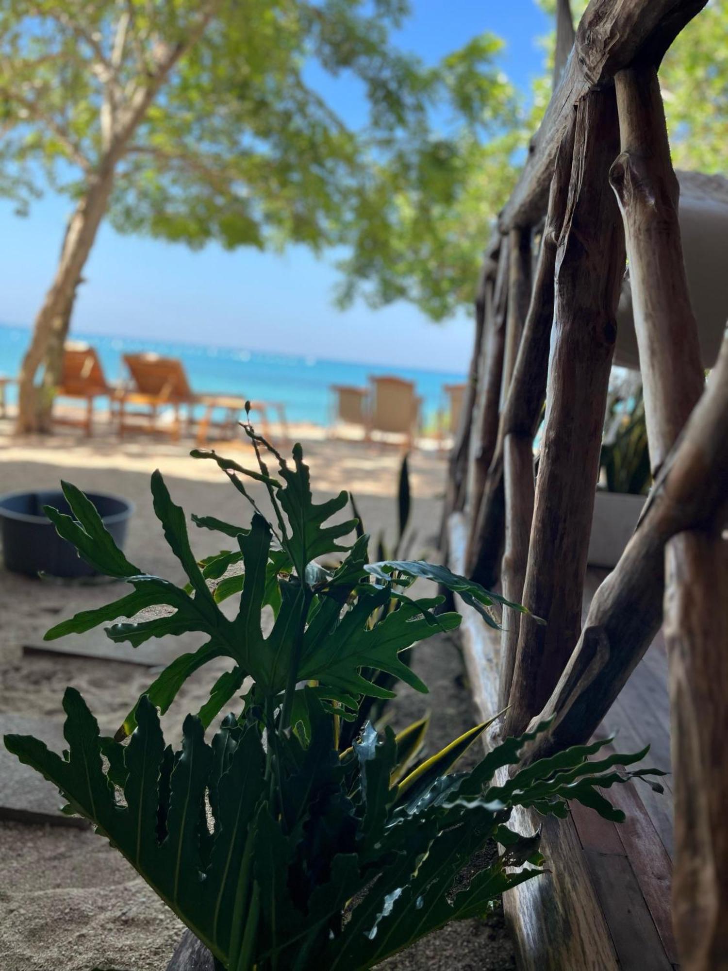 Thani Ecobeach Baru Playa Blanca Exterior foto